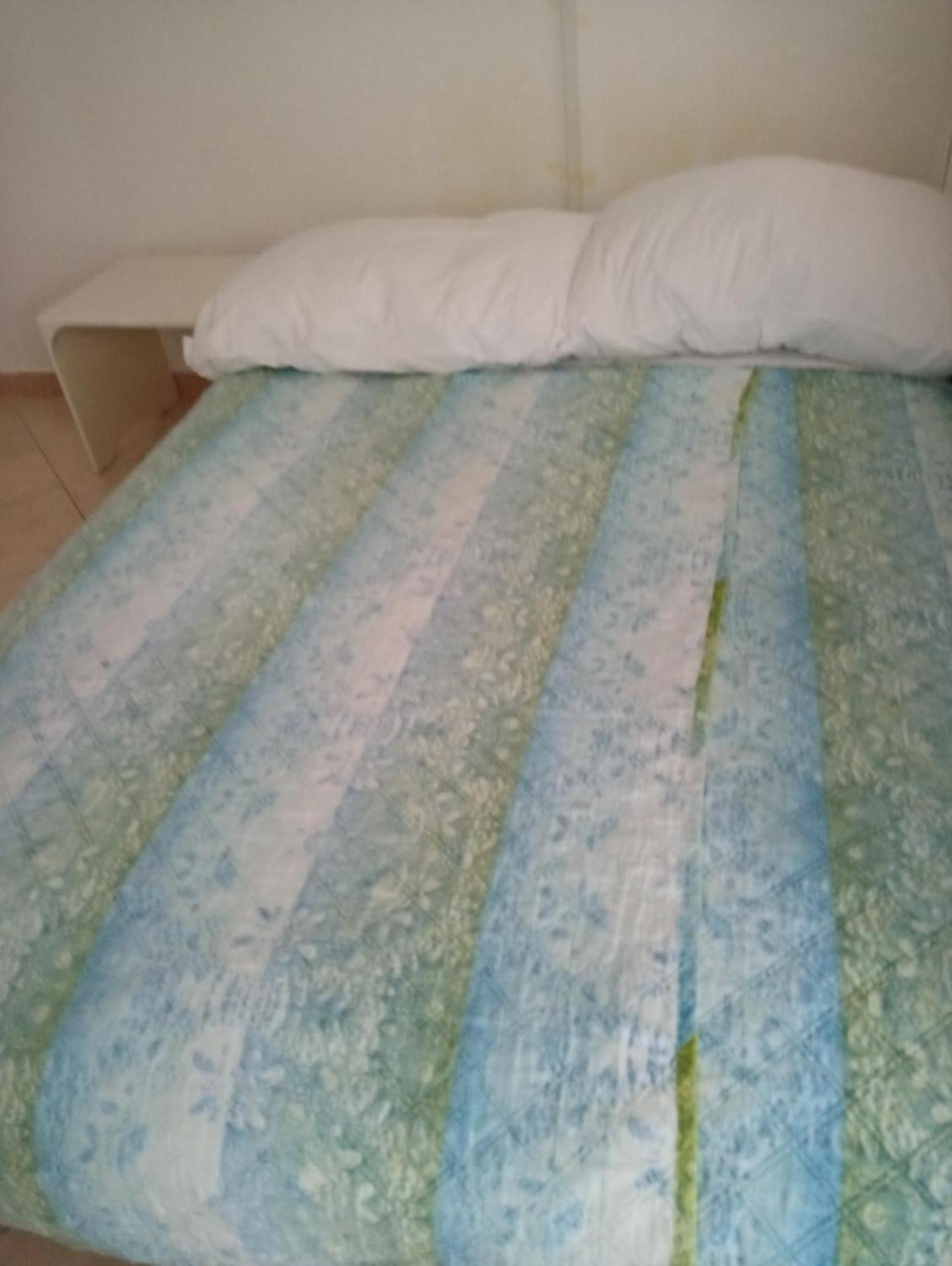Sersic * Baška