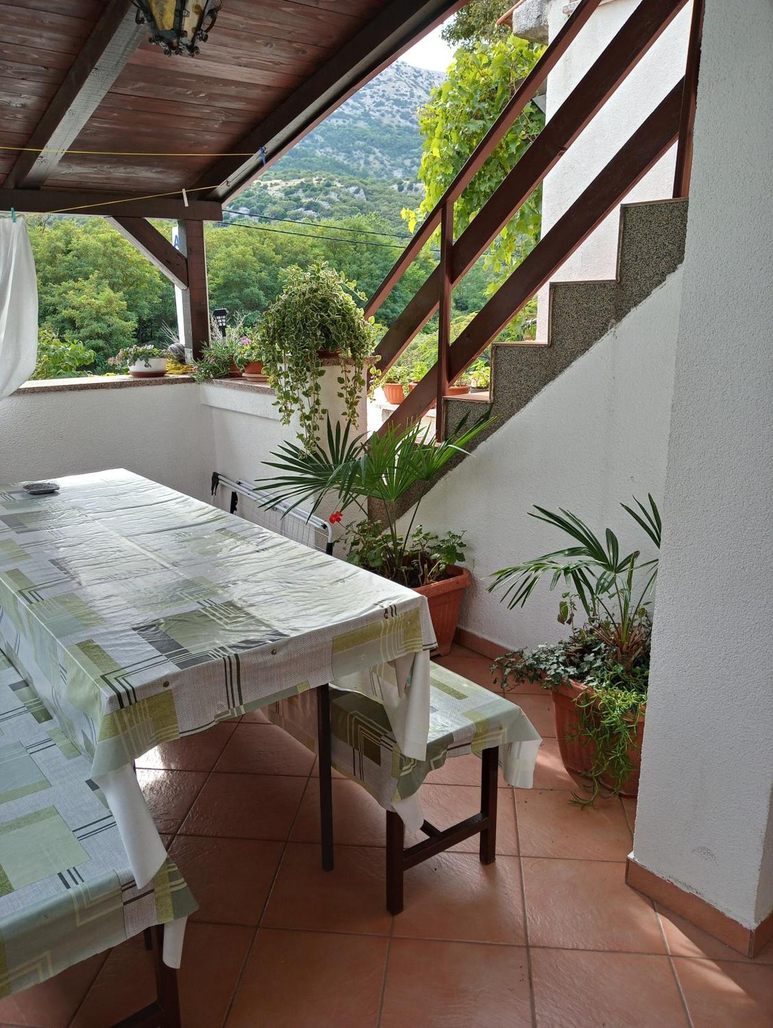 Apartament Sersic *